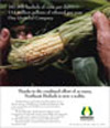ads 6