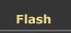 Flash